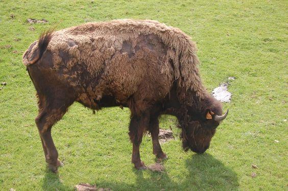 DSC_0080 [50%] [50%].JPG